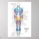 Search for view posters Male