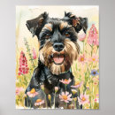 Search for mini schnauzers art Miniature schnauzer
