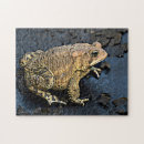 Search for toad puzzles Nature