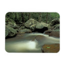 Search for rainforest magnets Environment