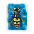 Search for bee drawing magnets Nature