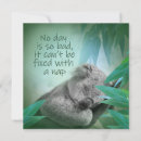 Search for koala cards Cute koala bear