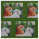 Search for tiger fabric Wildlife