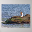 Search for the little mermaid posters Sea