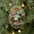 Search for flora christmas tree decorations Nature