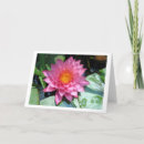 Search for pond cards Nature