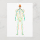 Search for nervous system postcards Body