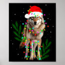 Search for low light posters Lights