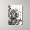 Search for eagle canvas prints Feathers