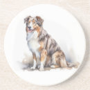 Search for australian coasters Animal