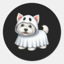Search for dog costume stickers Pumpkin