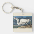 Search for heron key rings John james audubon