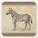 Search for zebra coasters Animal