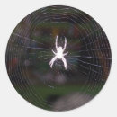 Search for webbing stickers Webs