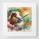 Search for guinea pig clocks Animals