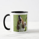 Search for bassett mugs Basset hound