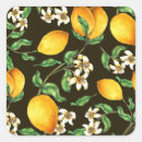 Search for lemon tree stickers Food