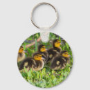 Search for ducklings key rings Wildlife