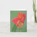 Search for textures cards Photography