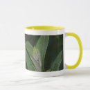 Search for monarch mugs Caterpillar