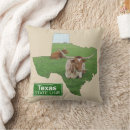 Search for longhorns cushions Texas