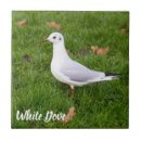 Search for pigeon lover gifts Dove