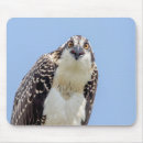 Search for bird nest mousepads Blue