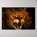 Search for wildcat posters Cats