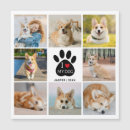 Search for dog memorial cards In loving memory