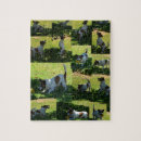 Search for dog picture puzzles Happy