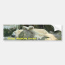 Search for endangered animals bumper stickers Bear