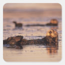 Search for sea otters stickers California