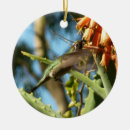 Search for orange and black christmas tree decorations Photography