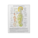 Search for medical flyers Chiropractor