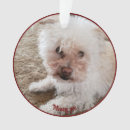 Search for missing you christmas tree decorations Red