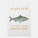 Search for shad Connecticut