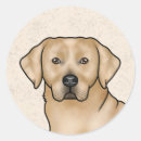 Search for yellow labrador stickers Cute