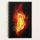 Search for fire planners Phoenix