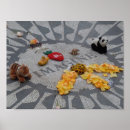 Search for the beatles posters Imagine