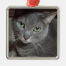 Search for russian blue cat christmas tree decorations Nature
