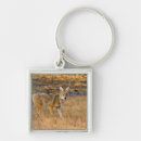 Search for ditto key rings Ie