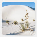 Search for gypsum stickers Alamogordo