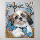 Search for bird lovers posters Pets