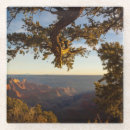 Search for grand canyon coasters Sunset