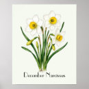 Search for december art Birth flower