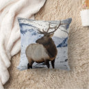 Search for antler cushions Winter