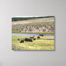 Search for yellowstone national park canvas prints Wyoming