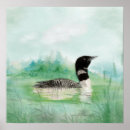 Search for loons art Bird