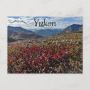 Search for yukon territory postcards Canada