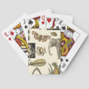 Search for animal playing cards Elephant